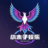 小木子统计助手