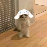renjoyce_bot