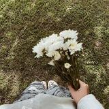 ㅤㅤㅤ𝐌aryam