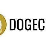 ZNB DOGE AUTOPAY BOT