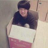 sebong wtb