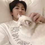 Jeno's kitten