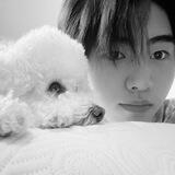 hihihoon