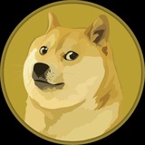 DOGE COIN | AIRDROP