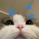 Miao
