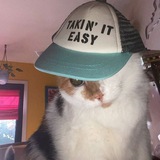 ashley's alter ego