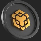 BNB AUTOPAY BOT