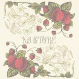 NA STORE ASIST