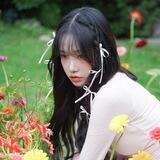 joyul's asist