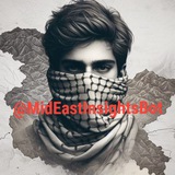 MidEastInsight Bot