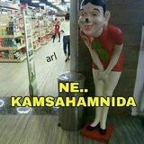 Ayamimpor