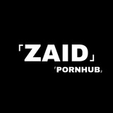 DOGEHUB 🔞