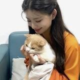 ❥︎ ִ ׄ love–talk wynneiii >___O