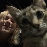 Ipxo Giveaway Bot