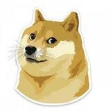 Doge coin airdrop