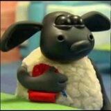 gaca