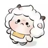 「小浪」双向机器人