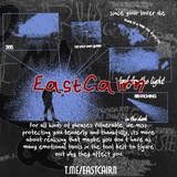 EastCairn Roobot