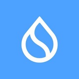 Sui Coin