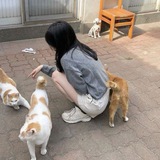 JisuLia's ִֶָ ૮˃‌֊ ˂‌ ა