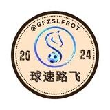 路飞（双向限制通道)