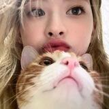 seunday, bot