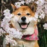 夜间航行