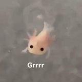 RURURURURUURU!!!!