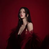 24H女王加群机器人