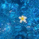 sea 🫧