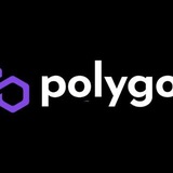 Polygon Beast Pay Bot
