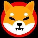 Shib X Master || Bot