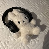 biwbot