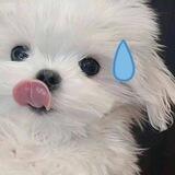 Misell