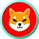 Shiba Inu ✨