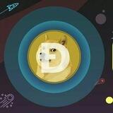 Doge real Bot