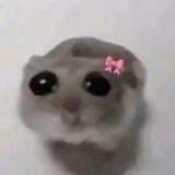 eyyik :<