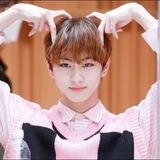 Wtb lio