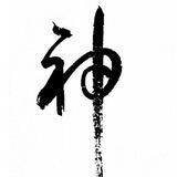 引路人双向机器人