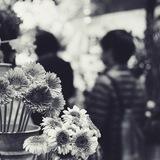 redemption of love