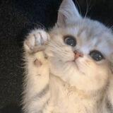 :D