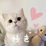 cimuw