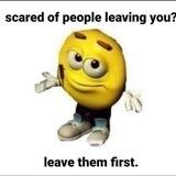 🐡🐡🐡🐡️️