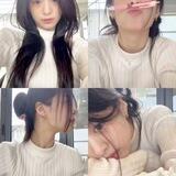 Biblee's