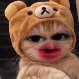 MBOK NENES