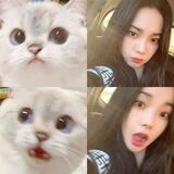 엘리즈