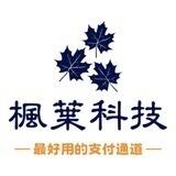 小枫🍁全能机器人