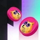 POLYDOGE