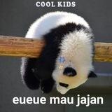 panda