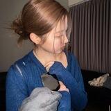 ◎ Auntumn's Bot